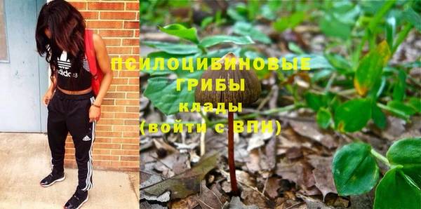 гашик Магас