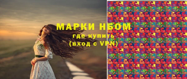 гашик Магас